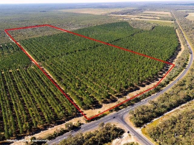 RURAL LIFESTYLE WITH FUTURE INCOME LOT 4