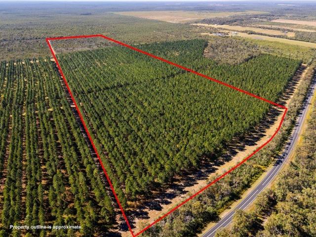 RURAL LIFESTYLE WITH FUTURE INCOME LOT 5