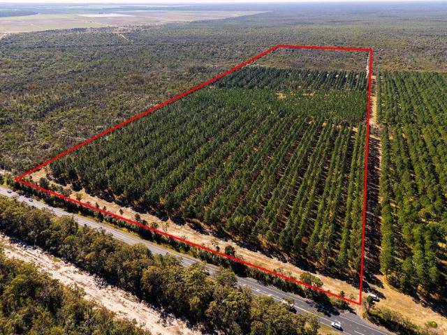 RURAL LIFESTYLE WITH FUTURE INCOME LOT 3