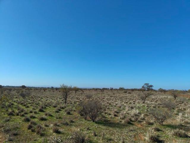 Rural Living | 12.04 Hectares | Peaceful Countryside Setting