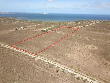 Land for sale in Nadia
