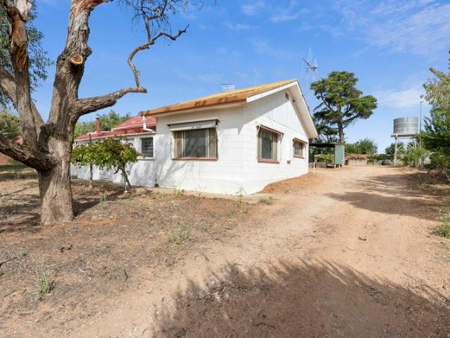 Rural Living Opportunity!