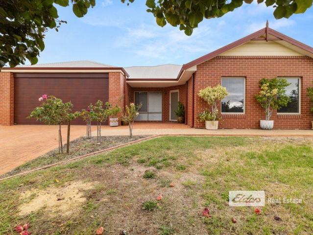 Rural Living with in a Sought After Location