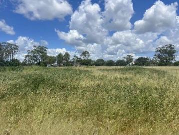 RURAL LIVING WITHIN EASY REACH OF TOWNSVILLE