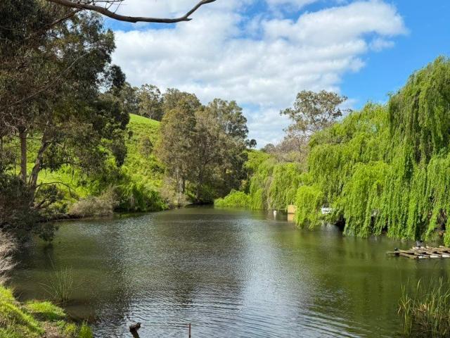 Rural Opportunity with Dams and Sweeping Views on 84 Acres