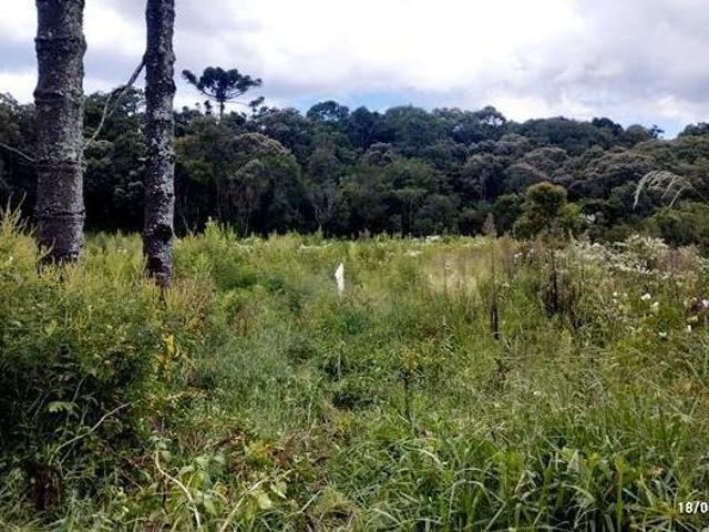 Rural para Venda em Munhoz/MG 1 Dorm. 46000 m2 Área Útil