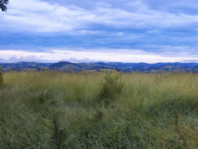 Rural para Venda em Bueno Brandão/MG 1 Dorm. 6500 m2 Área Útil
