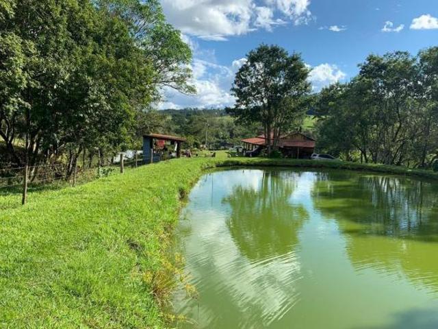 Rural para Venda em Prata/MG 5 Dorm. 100 m2 Área Útil