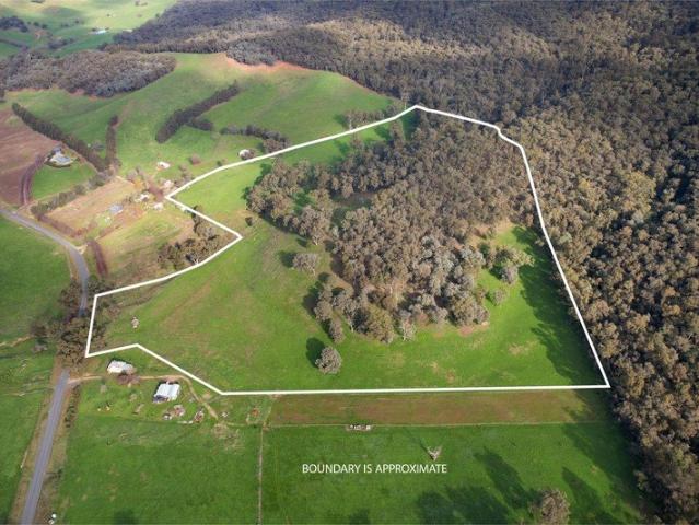Rural Paradise in Georges Creek