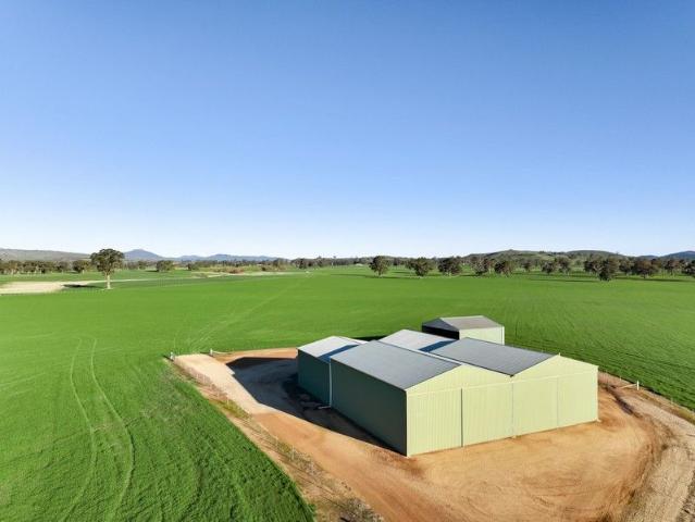 Rural Perfection 49.07 HA | Former Airstrip | Two Massive Sheds | Unrivalled Mountain Views