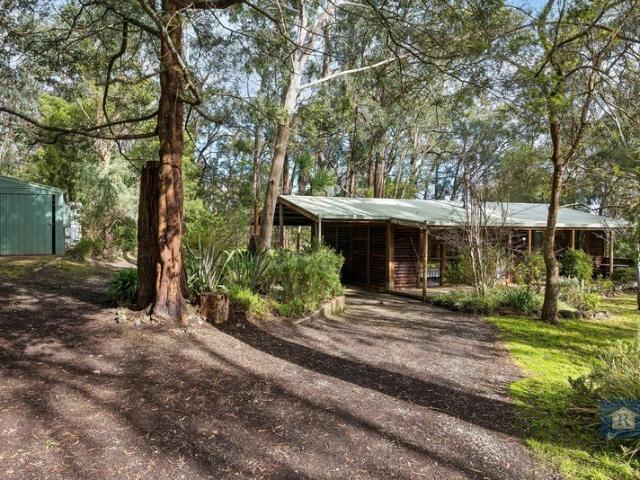 Rustic Charm Among the Gum Trees