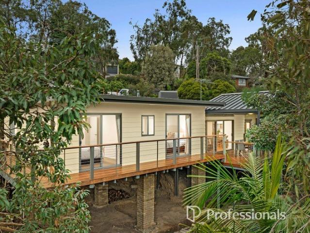 RUSTIC CHARM MEETS CONTEMPORARY TREE TOP LUXURY