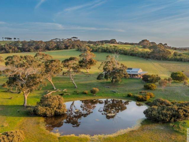 Rustic Retreat at Antechamber Bay