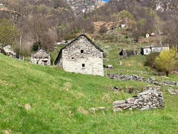 Rustico zum Ausbauen mit Wiese an sehr schöner Aussichtslage / Rustico zu renovieren mit Wiese in einer schönen Aussichtslage
