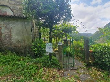 Riomagno, Massa-Carrara, Liguria - Terrazzo
