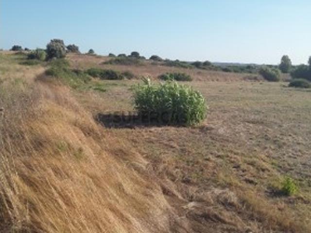 Rústico no Cartaxo com 6900 m2