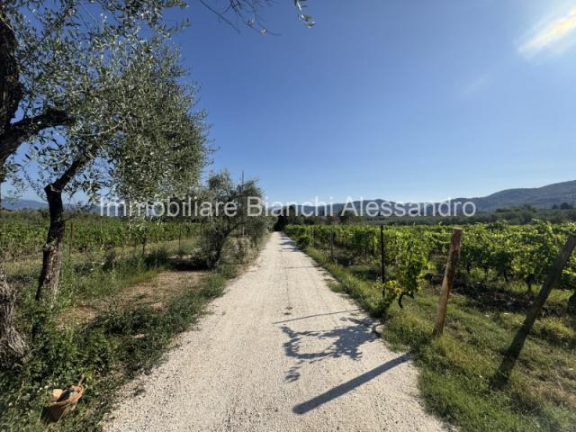 Rustico a Bagno a Ripoli Rif. A1500CERRETO