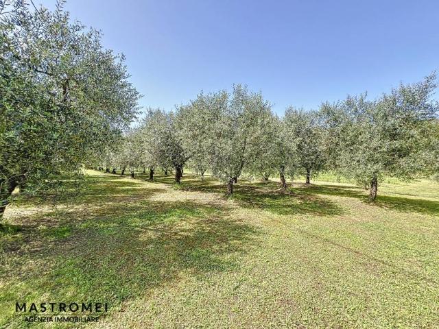Casa indipendente in vendita a Castelfranco di Sotto PI