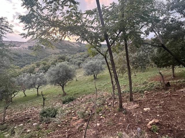 Villa in vendita a Anagni FR