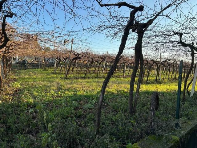 Casa indipendente in vendita a Soave VR