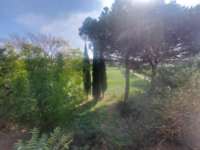 Villa in vendita a Roma RM