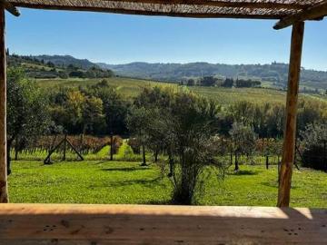 Rustico casale in affitto a Scandicci Firenze