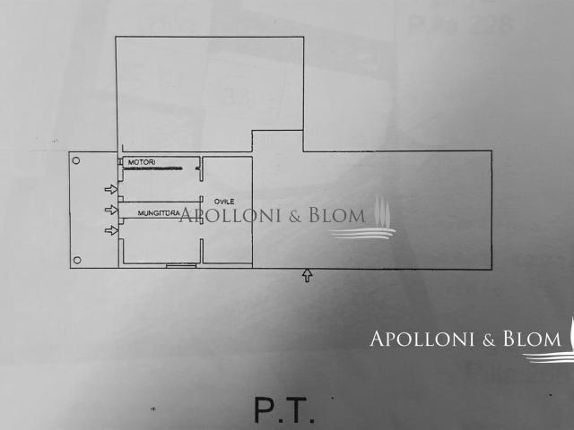 Rustico con annesso da ristrutturare Siena 250m² Siena