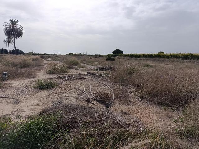 Rústico en venta, Vallverda, Alicante/Alacant