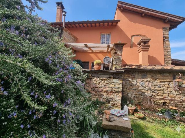 Rustico in pietra con oliveto in vendita sulle colline di Vi. 230m² Vicopisano