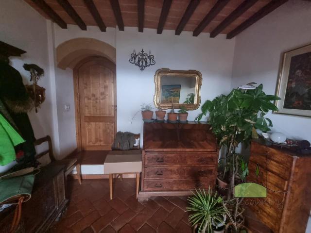 Rustico in pietra con oliveto in vendita sulle colline di Vi. 230m² Vicopisano