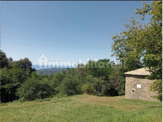 Rustico Località Borgo 114, Neirone