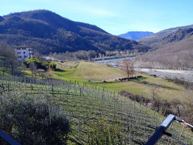 Rustico Pradella, Coli