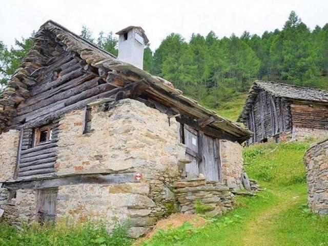 Rustico schon teilweise bewohnbar an sehr schöner Lage in der Natur / Bel rustico prazialmente riattato immerso nella natura