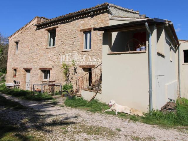 Rustico 13 vani 300mq