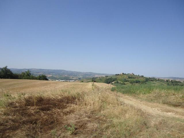 Rustico 950mq