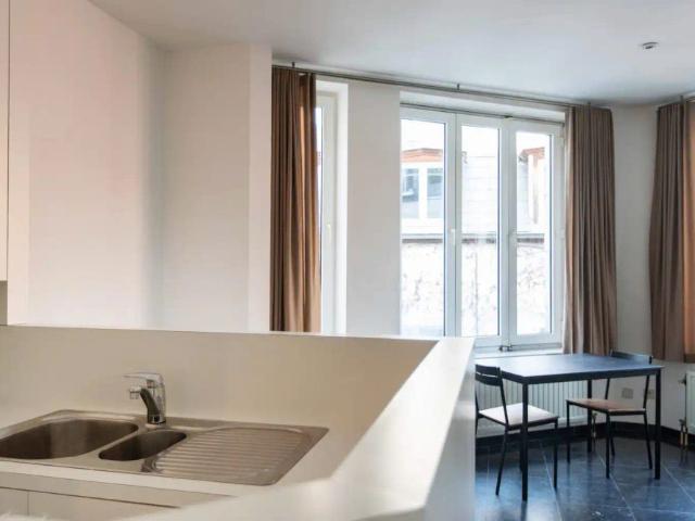 Rustig bemeubeld 1 slaapkamer appartement in het hart van Antwerpen