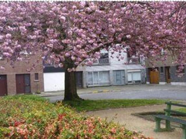 rustig gelegen 2 slpk apt, 95m², Gent, Epc B