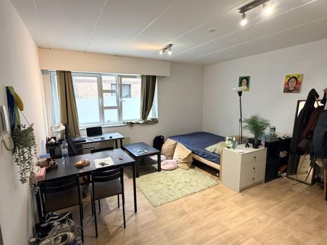 Rustig gelegen studio te huur in centrum Leuven