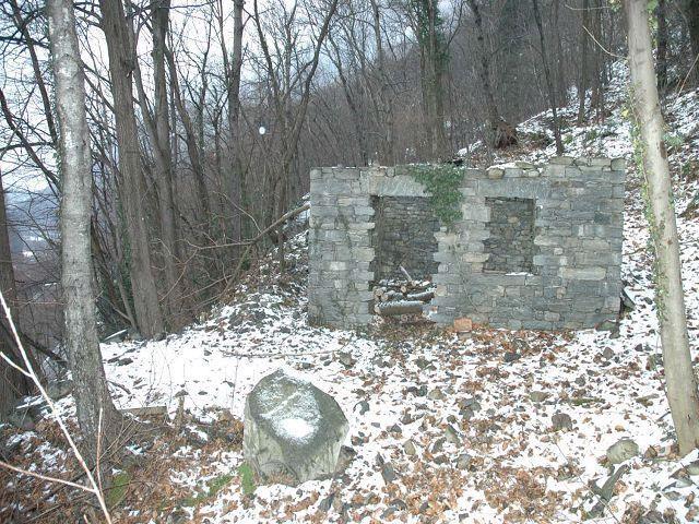 Rustikale zum Ausbauen mit Wald