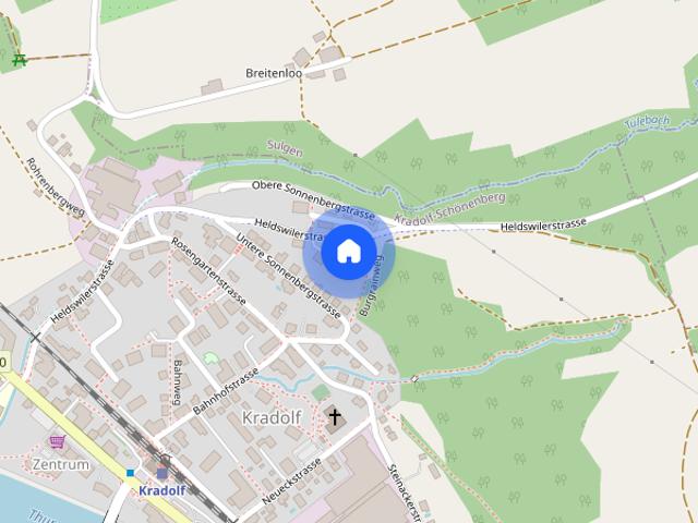 Rustikalische Maisonet Wohnung mit Chemineé. Ein Besuch lohnt sich !