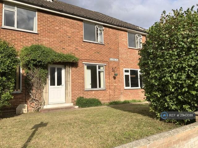 Ruskin Road, Norwich, NR4 6 bed semi detached house to rent £3,200 pcm £738 pw