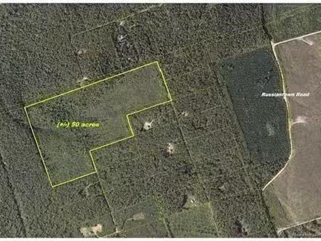 Russiantown Rd, Goshen, NB, E4Z 0H4 vacant land for sale.