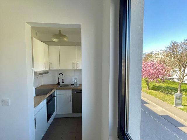 Rüttenscheid 2 Room Apartment with South Facing Balcony in a Quiet Courtyard Location, Essen Amsterdam Apartments for Rent