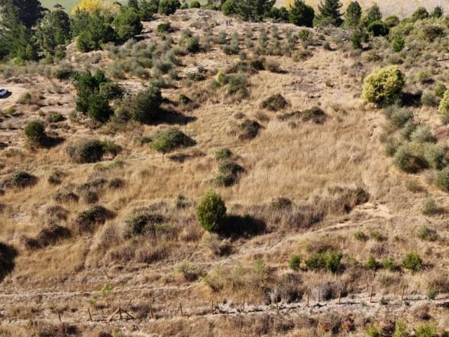 RUTA J 80 VICHUQUEN
