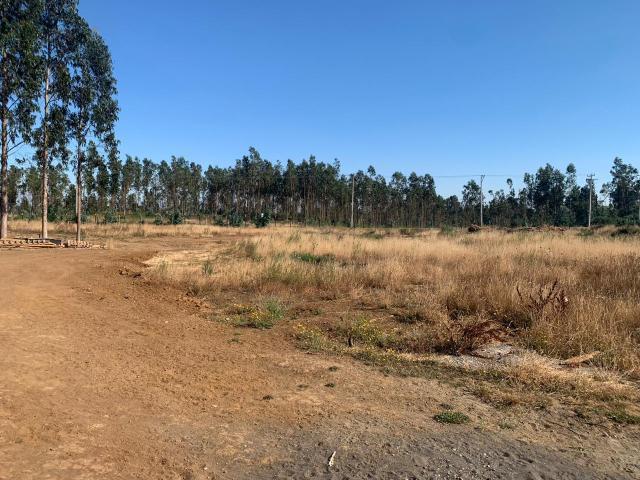 Ruta P 330/P 40, Arauco