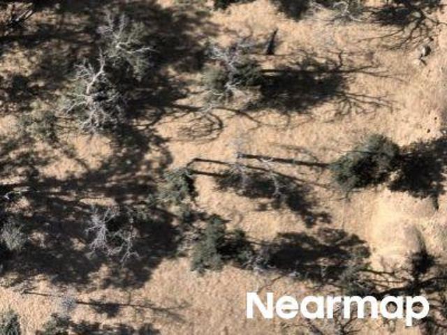Rutherford Canyon Rd