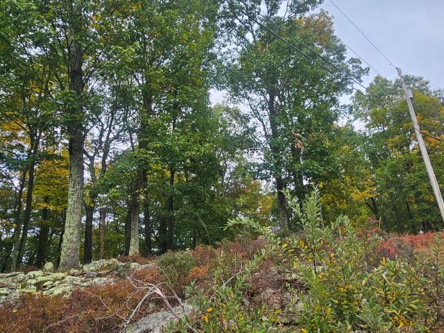 RVW Lot211 Dakota Drive