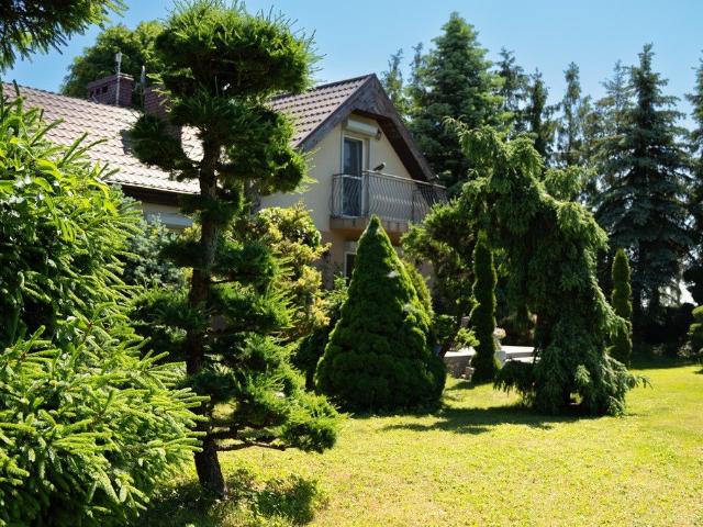 Na sprzedaż siedlisko 9 898 m² w Rybitwach z basenem