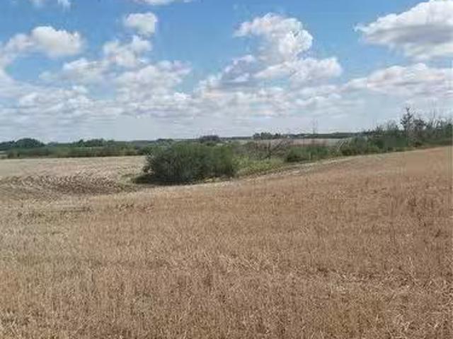 Rystrom Land, Corman Park Rm No. 344, SK, S7K 5W1 farm for s.