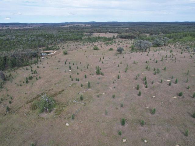 Ryslip 2,292 Acres of untouched bushland in the Southern Downs